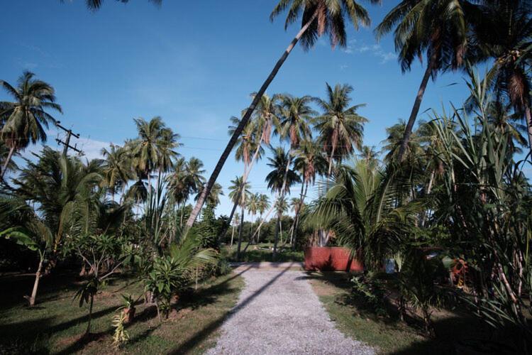 Coconut Tree Homestay Ban Wa Thon Buitenkant foto